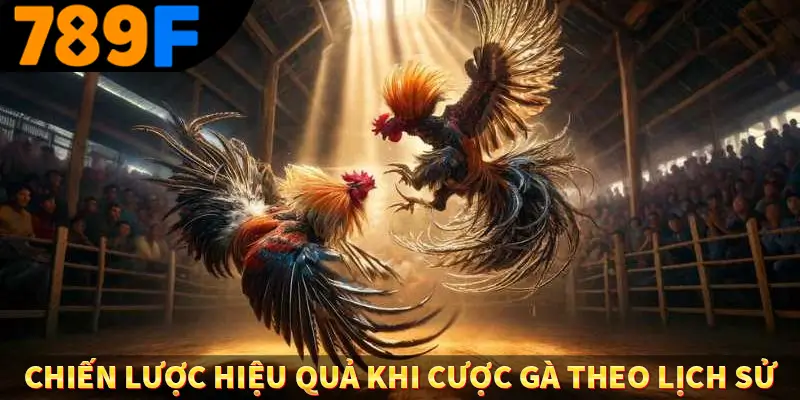 Chiến lược hiệu quả khi cược gà theo lịch sử