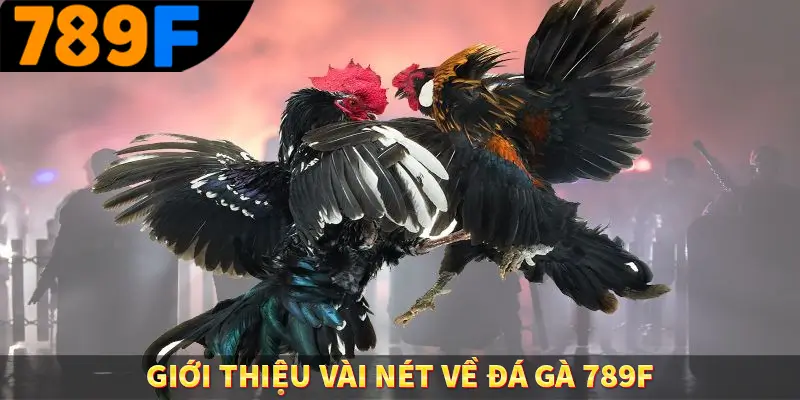 Giới thiệu vài nét về đá gà 789F