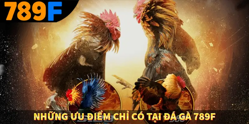 Những ưu điểm chỉ có tại đá gà 789F