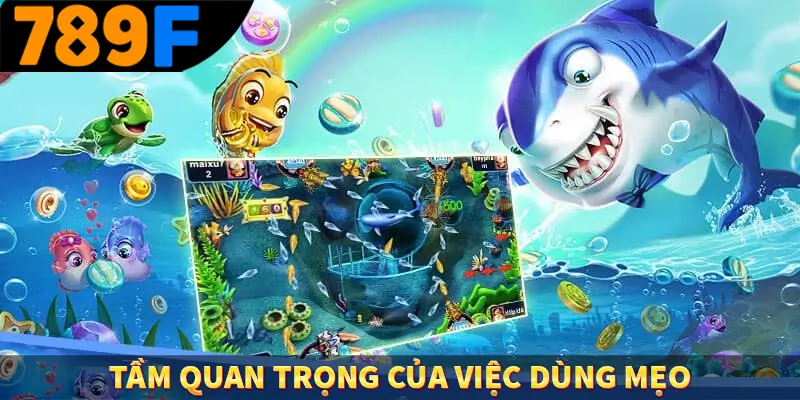 Tầm quan trọng của việc dùng mẹo
