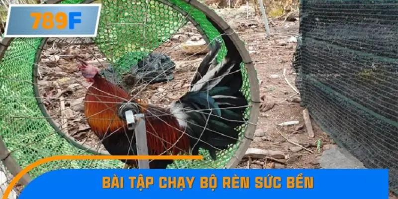 Bài tập chạy bộ rèn sức bền