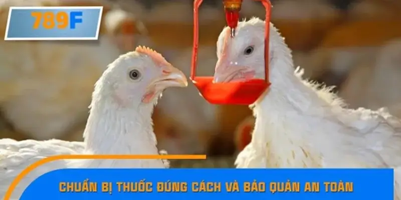 Chuẩn bị thuốc đúng cách và bảo quản an toàn Chuẩn bị thuốc đúng cách và bảo quản an toàn