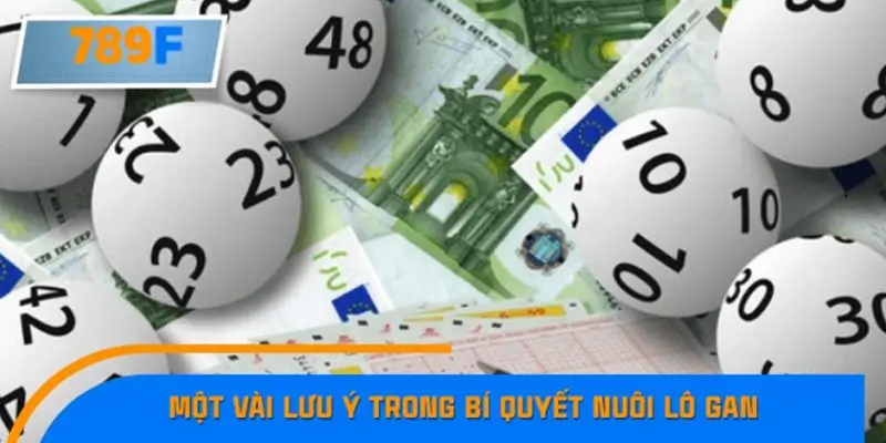 Cược thủ nên lưu ý những gì khi thực hiện phương pháp nuôi lô gan? Cược thủ nên lưu ý những gì khi thực hiện phương pháp nuôi lô gan?