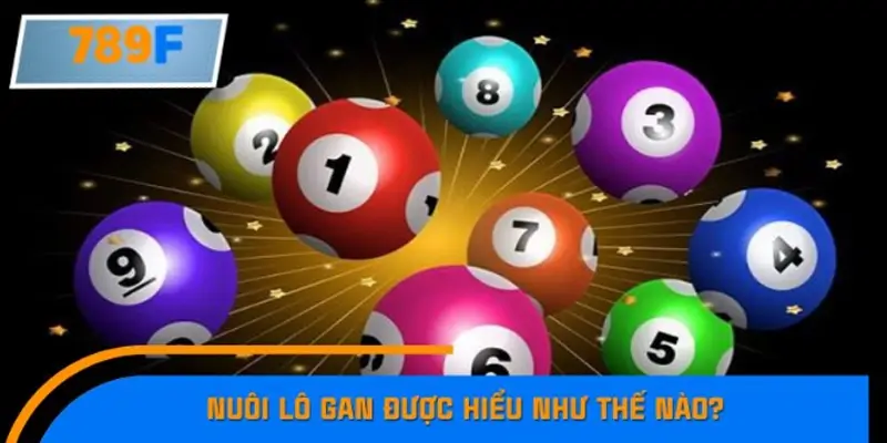 Nuôi lô gan là gì? Nuôi lô gan là gì?