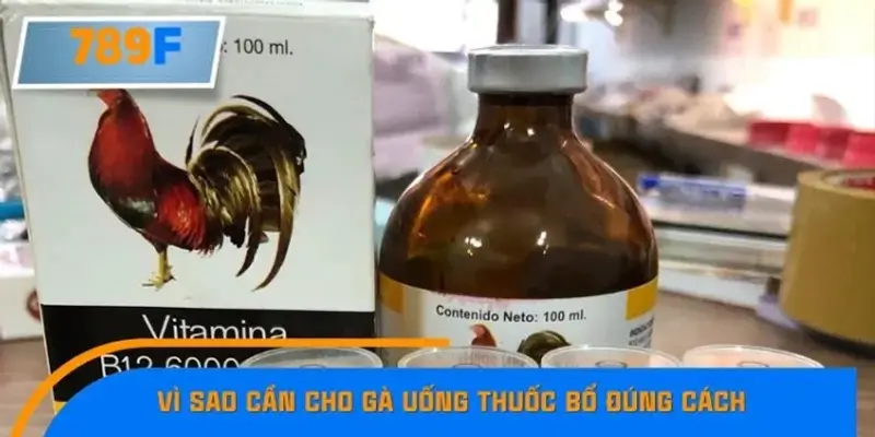 Vì sao cần cho gà uống thuốc bổ đúng cách? Vì sao cần cho gà uống thuốc bổ đúng cách?